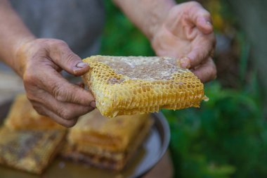 Yaşlı bir kadın bahçesinde bal tutuyor. Seçici odaklanma. yiyecek.