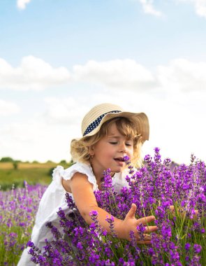 Lavanta tarlasında bir kız çocuğu. Seçici odaklanma. çocuk.