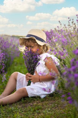 Lavanta tarlasında bir kız çocuğu. Seçici odaklanma. çocuk.