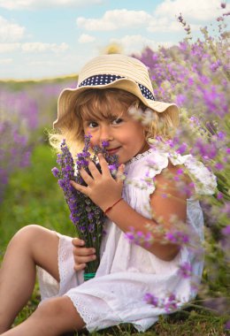 Lavanta tarlasında bir kız çocuğu. Seçici odaklanma. çocuk.