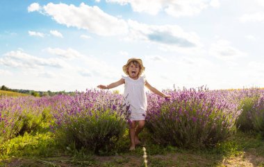 Lavanta tarlasında bir kız çocuğu. Seçici odaklanma. çocuk.