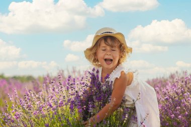 Lavanta tarlasında bir kız çocuğu. Seçici odaklanma. çocuk.