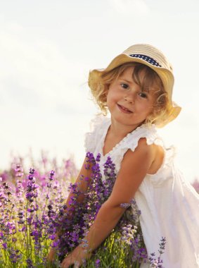 Lavanta tarlasında bir kız çocuğu. Seçici odaklanma. çocuk.