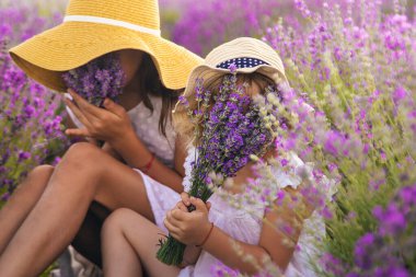 Lavanta tarlasında bir kız çocuğu. Seçici odaklanma. çocuklar.