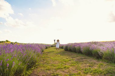 Lavanta tarlasında bir kız çocuğu. Seçici odaklanma. çocuk.