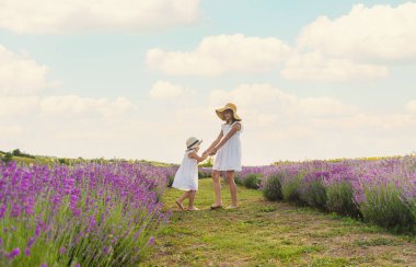 Lavanta tarlasında bir kız çocuğu. Seçici odaklanma. çocuk.