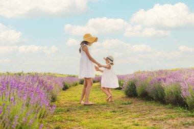 Lavanta tarlasında bir kız çocuğu. Seçici odaklanma. çocuk.