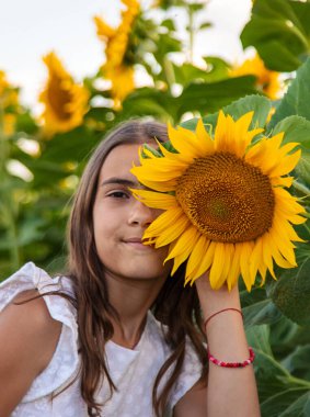 Ayçiçeği tarlasında bir çocuk. Seçici odaklanma. çocuk.