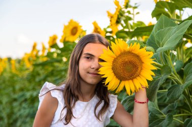Ayçiçeği tarlasında bir çocuk. Seçici odaklanma. çocuk.