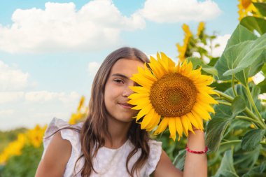 Ayçiçeği tarlasında bir çocuk. Seçici odaklanma. çocuk.