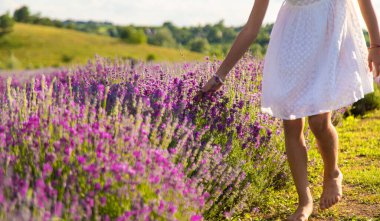 Lavanta tarlasında bir kız çocuğu. Seçici odaklanma. çocuk.