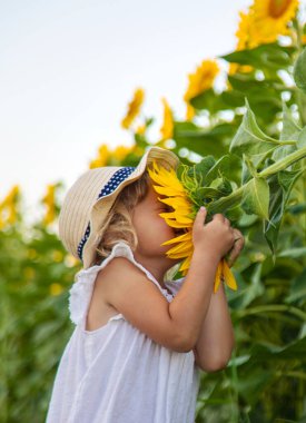 Ayçiçeği tarlasında bir çocuk. Seçici odaklanma. çocuk.