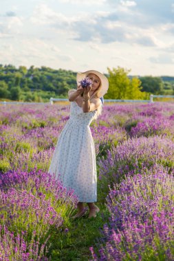 Lavanta tarlasında bir kadın. Seçici odaklanma. Doğa.