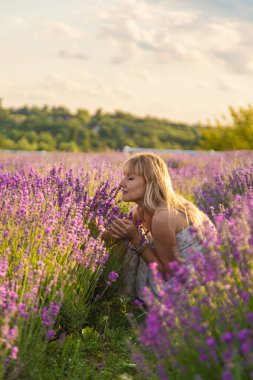 Lavanta tarlasında bir kadın. Seçici odaklanma. Doğa.