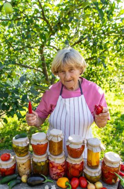 Kavanozlarda farklı türlerin korunması. Seçici odaklanma. yiyecek.