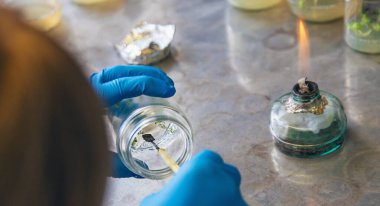 Bitkilerle dolu laboratuvar kavanozları. Seçici odaklanma. İnsanlar.