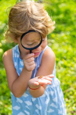 Bahçedeki tırtıla bakan bir çocuk. Seçici odaklanma. çocuk.