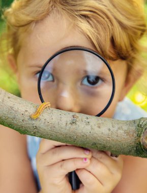 Bahçedeki tırtıla bakan bir çocuk. Seçici odaklanma. çocuk.