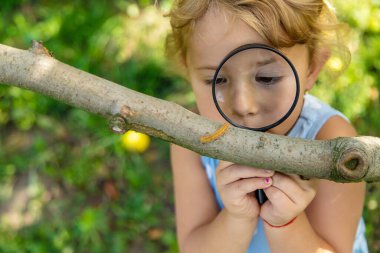 Bahçedeki tırtıla bakan bir çocuk. Seçici odaklanma. çocuk.