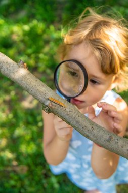 Bahçedeki tırtıla bakan bir çocuk. Seçici odaklanma. çocuk.