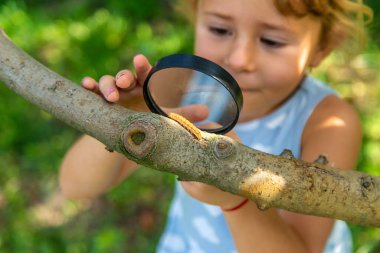 Bahçedeki tırtıla bakan bir çocuk. Seçici odaklanma. çocuk.
