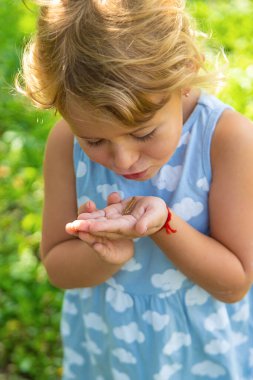 Bahçedeki tırtıla bakan bir çocuk. Seçici odaklanma. çocuk.