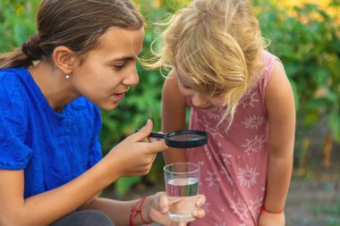 Bir çocuk büyüteçle suya bakar. Seçici odaklanma. çocuk.