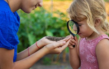 Bir çocuk büyüteçle toprağa bakar. Seçici odaklanma. Çocuk.