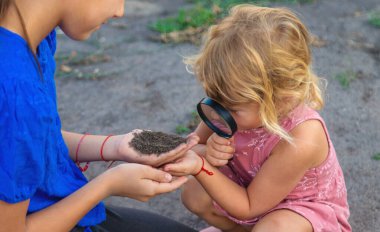Bir çocuk büyüteçle toprağa bakar. Seçici odaklanma. Çocuk.
