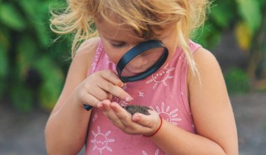 Bir çocuk büyüteçle toprağa bakar. Seçici odaklanma. Çocuk.