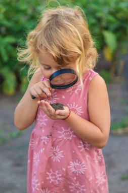 Bir çocuk büyüteçle toprağa bakar. Seçici odaklanma. Çocuk.