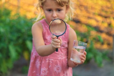 Bir çocuk büyüteçle suya bakar. Seçici odaklanma. çocuk.