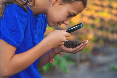 Bir çocuk büyüteçle toprağa bakar. Seçici odaklanma. Çocuk.