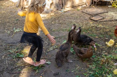 Ördekli ve tavuklu çocuk. Seçici odaklanma. Doğa.