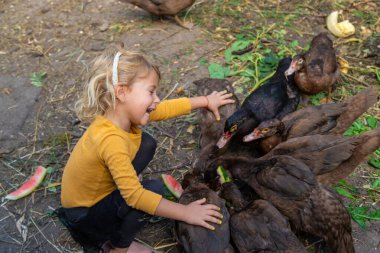 Ördekli ve tavuklu çocuk. Seçici odaklanma. Doğa.