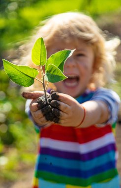 Ağaç Diken Çocuk. Seçici Odaklanma. Çocuk.