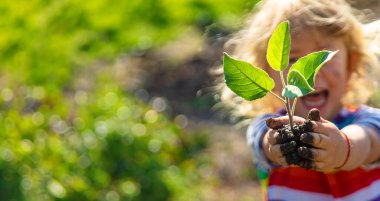 Ağaç Diken Çocuk. Seçici Odaklanma. Çocuk.