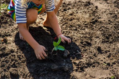 Ağaç Diken Çocuk. Seçici Odaklanma. Çocuk.