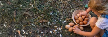 Çiftlikte yumurta tutan bir çocuk. Seçici odaklanma. Çocuk.