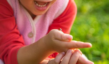 Uğur böceğiyle oynayan çocuk. Seçici odaklanma. Çocuk.