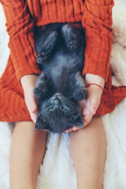 Evde kedi yavrularıyla oynayan bir çocuk. Seçici odaklanma. çocuk.