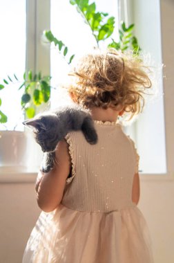 Evde kedi yavrularıyla oynayan bir çocuk. Seçici odaklanma. çocuk.