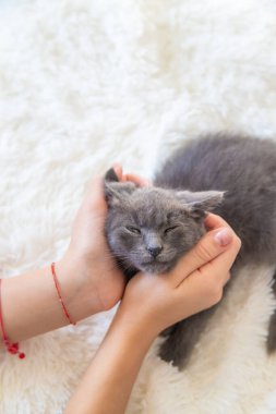 Ellerinde kedi yavrusu tutan çocuk. Seçici odaklanma. Çocuk.