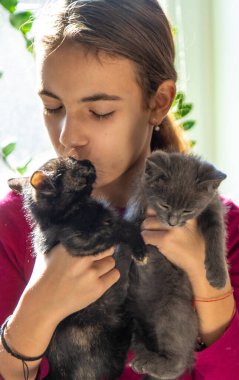 Ellerinde kedi yavrusu tutan çocuk. Seçici odaklanma. Çocuk.