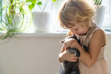 Evde kedi yavrularıyla oynayan bir çocuk. Seçici odaklanma. çocuk.