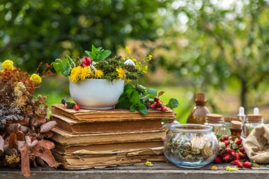 Şifalı bitkiler doğada alternatif tıp. Seçici odaklanma. Çiçekler..