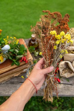 Şifalı bitkiler doğada alternatif tıp. Seçici odaklanma. Çiçekler..