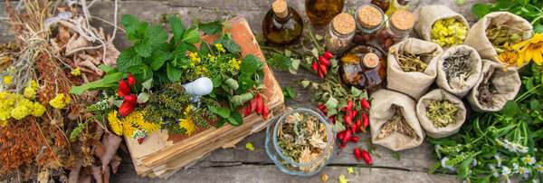 Medicinal herbs alternative medicine in nature. Selective focus. Flowers.