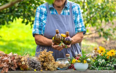 Alternatif şifalı bitkiler, yaşlı kadın. Seçici odaklanma. Doğa.