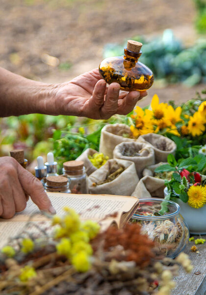 Medicinal herbs alternative medicine old woman. Selective focus. Nature.